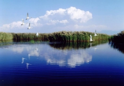 廣州到巴彥淖爾物流專線，廣州到巴彥淖爾運輸公司