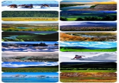 廣州到阿勒泰物流專線，廣州到新疆阿勒泰貨運(yùn)價格