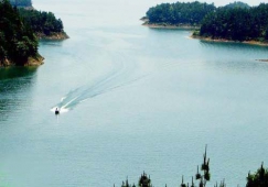 廣州到孝感物流專(zhuān)線，廣州到孝感貨運(yùn)公司