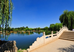 河源到保定物流公司|河源到保定貨運(yùn)專(zhuān)線(xiàn)|河源到保定物流公司