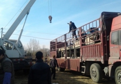 廣州黃埔到常德物流專線-黃埔區(qū)到常德貨運(yùn)公司